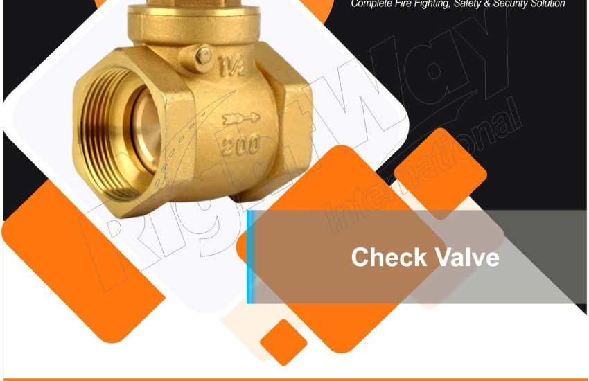 Check Valve