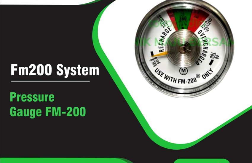 Pressure Gauge FM-200