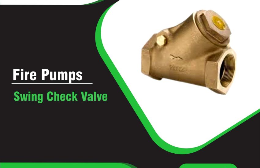 Swing Check Valve