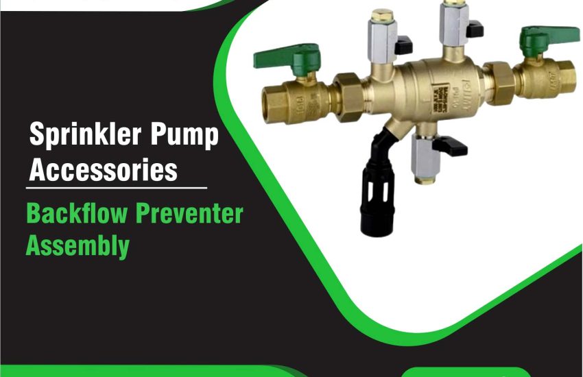 Backflow Preventer Assembly