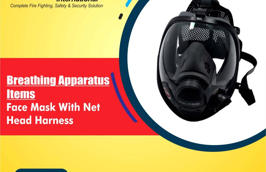 Face Mask With Net Head Harness