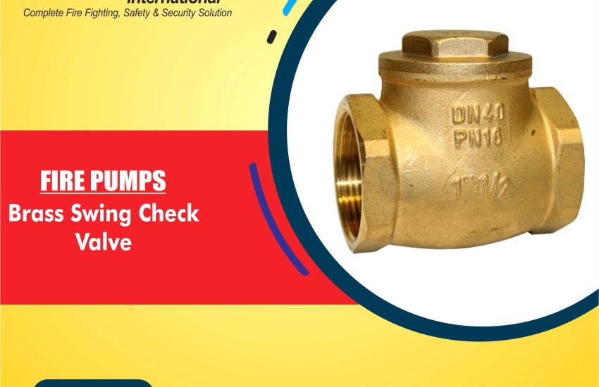 Brass Swing Check Valve