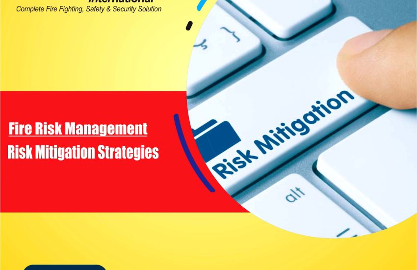 What is Risk Mitigation Strategies ?