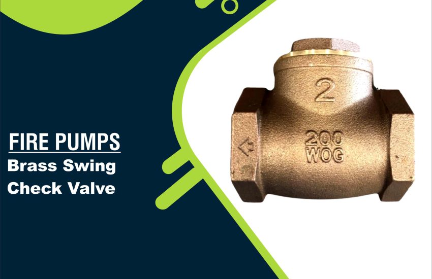 Brass Swing Check Valve in Pakistan