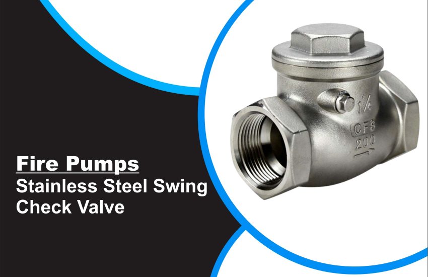 Stainless Steel Swing Check Valve