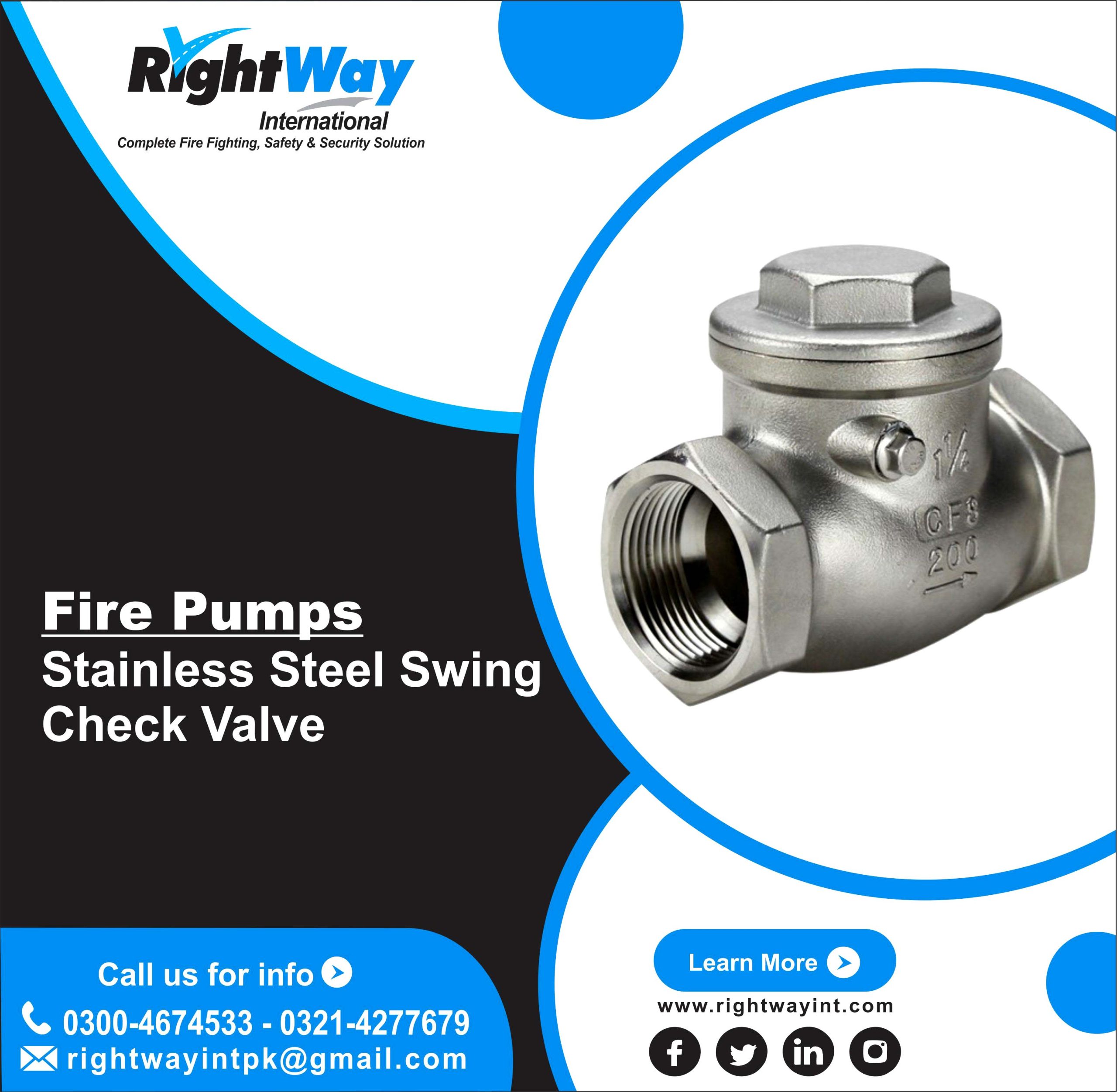 Stainless Steel Swing Check Valve
