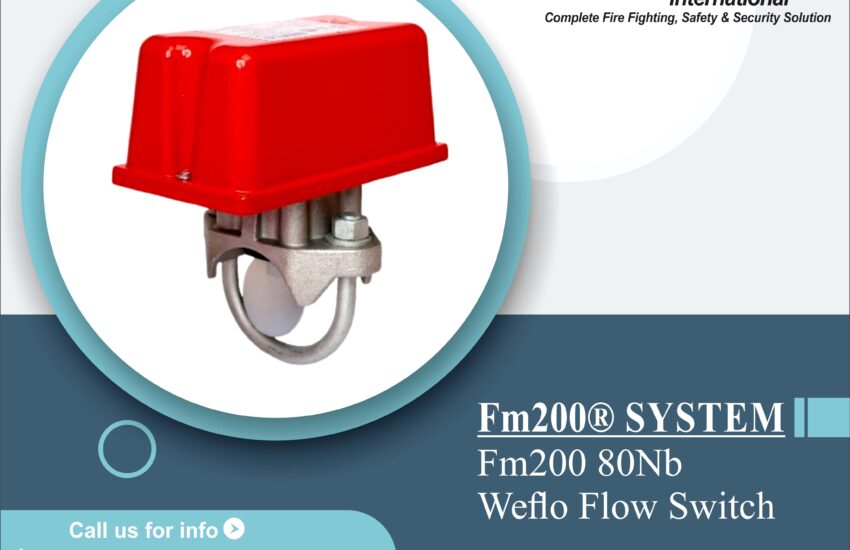 FM200 80Nb Weflo Flow Switch