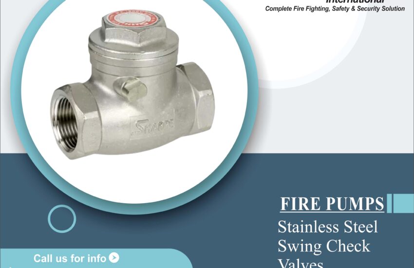 Stainless Steel Swing Check Valves