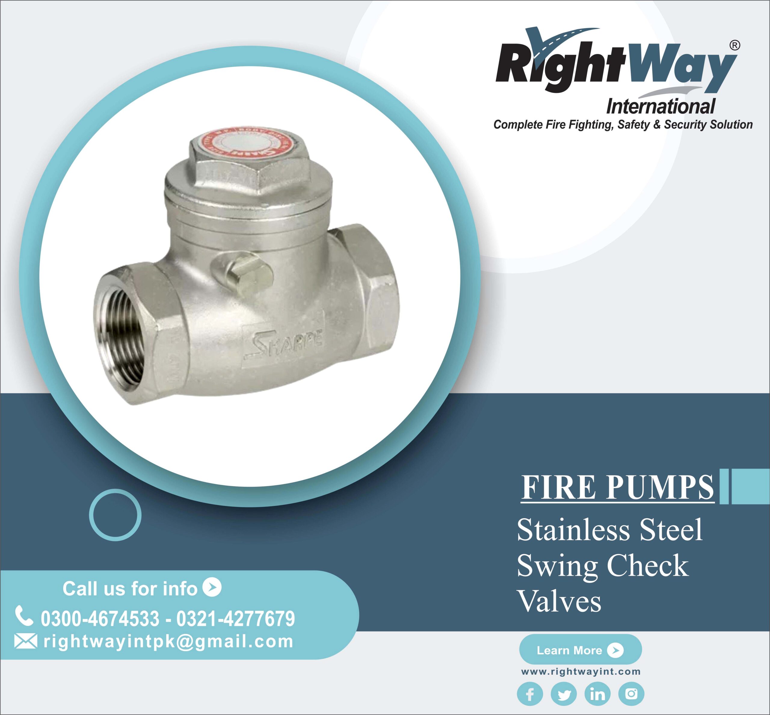 Stainless Steel Swing Check Valves