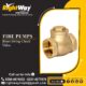 Brass Swing Check Valve
