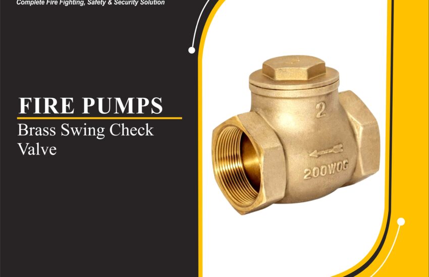 Brass Swing Check Valve